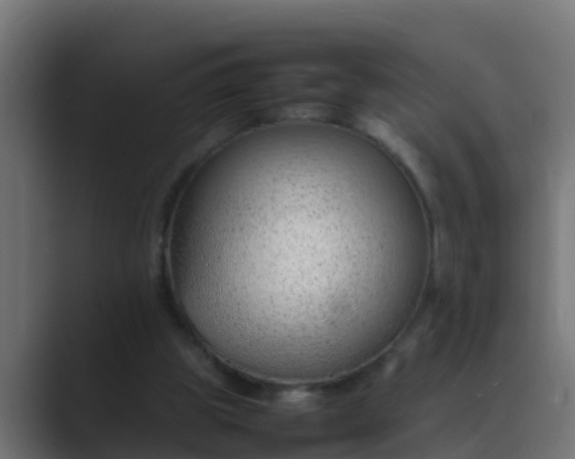 X0000089460153200706291507