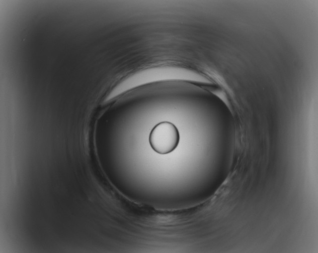 X0000089460154200706291507