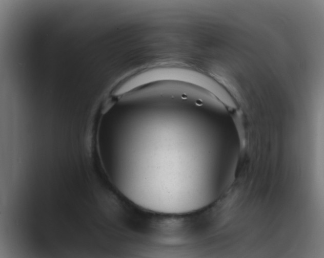 X0000089460156200706291507