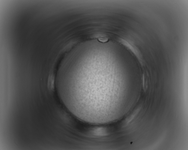 X0000089460157200706291507