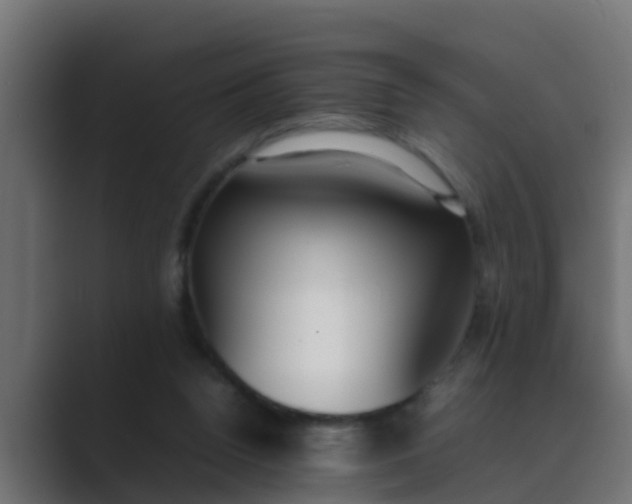 X0000089460160200706291507