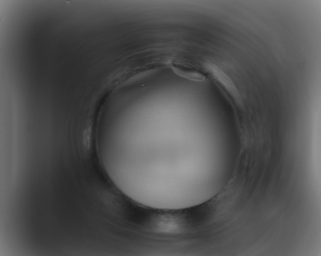 X0000089460163200706291507