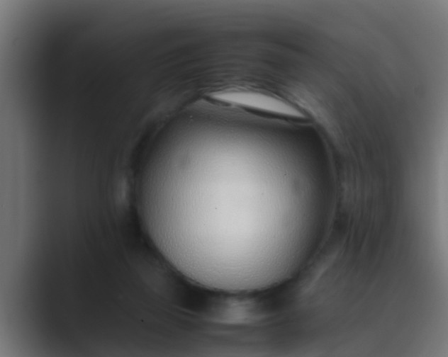X0000089460165200706291507