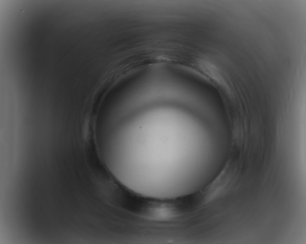 X0000089460167200706291507