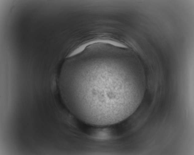 X0000089460169200706291507