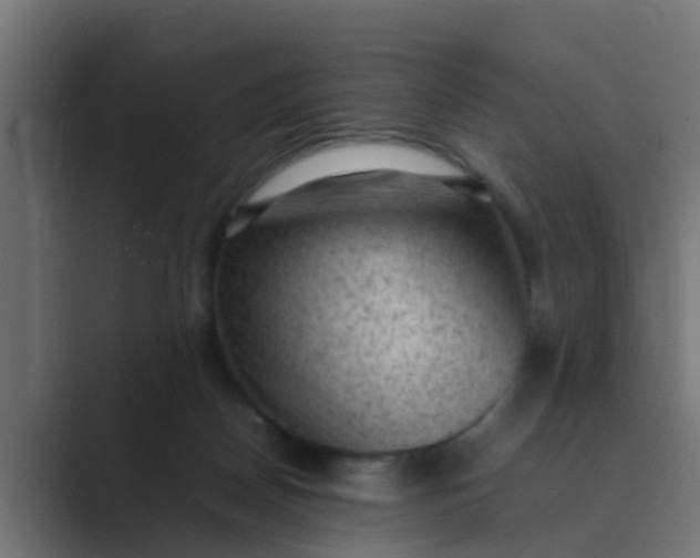 X0000089460170200706291507