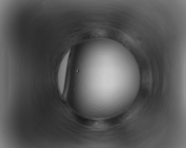 X0000089460173200706291507