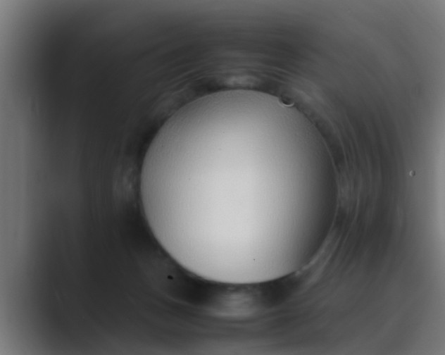 X0000089460175200706291508
