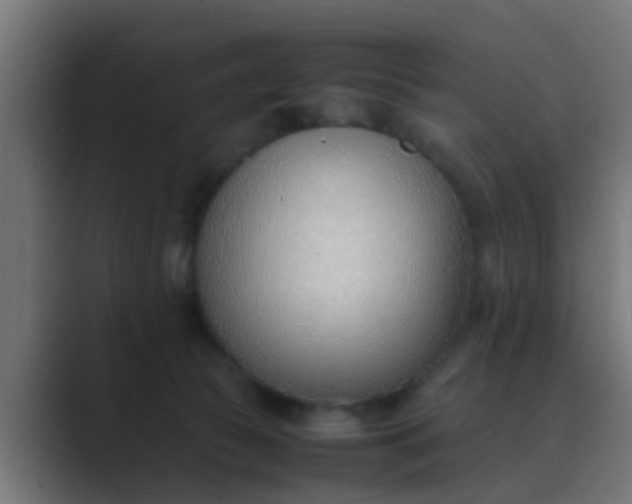 X0000089460177200706291508