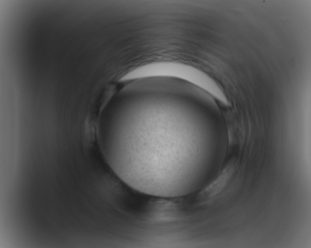 X0000089460180200706291508