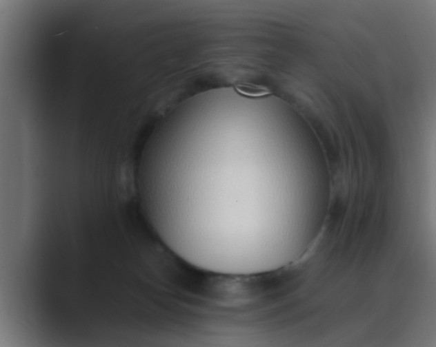 X0000089460182200706291508