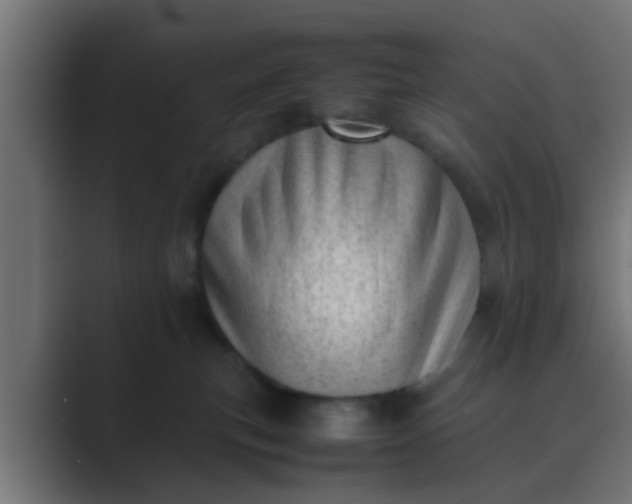 X0000089460183200706291508