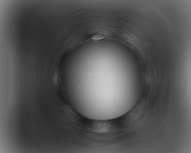X0000089460185200706291508