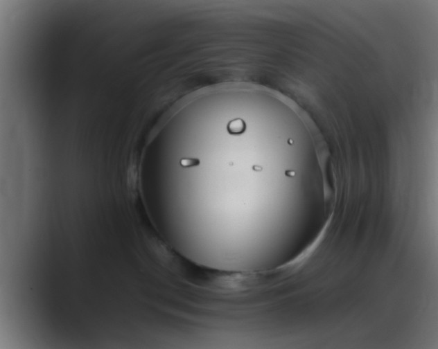 X0000089460190200706291508