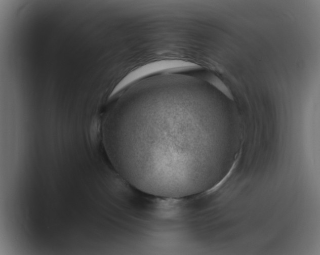 X0000089460192200706291508