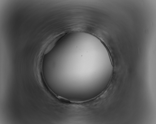 X0000089460193200706291507
