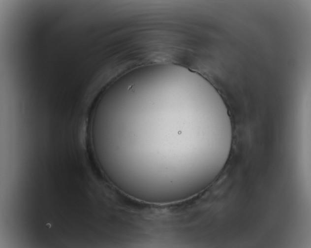X0000089460194200706291507