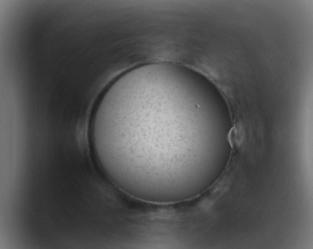 X0000089460196200706291507