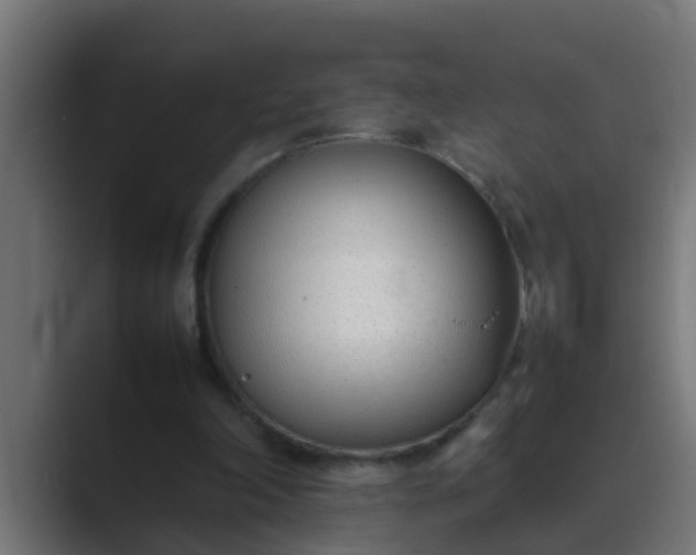 X0000089460198200706291507