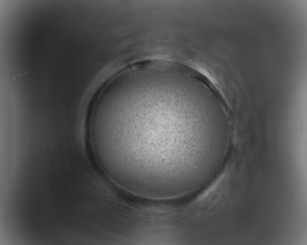 X0000089460199200706291507