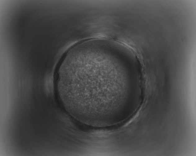 X0000089460200200706291507