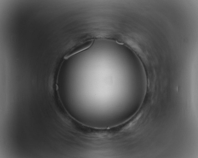 X0000089460201200706291507