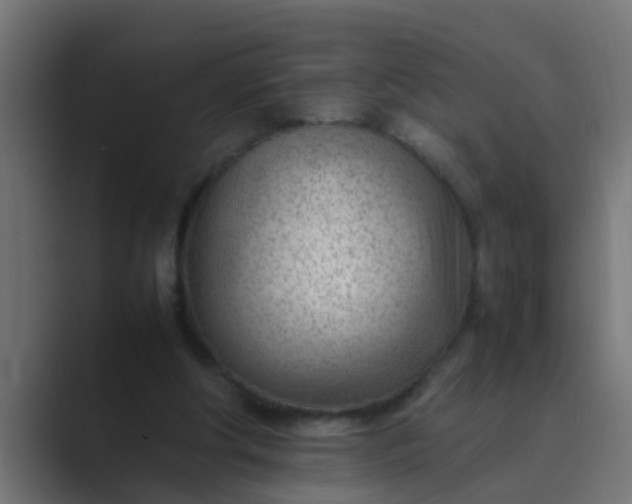 X0000089460202200706291507