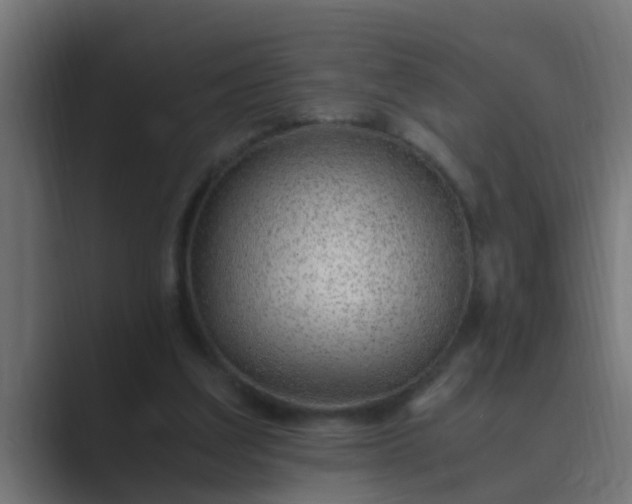 X0000089460203200706291507