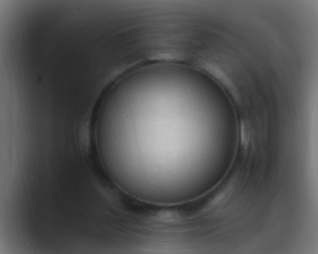 X0000089460204200706291507