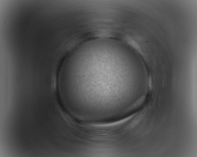 X0000089460205200706291507