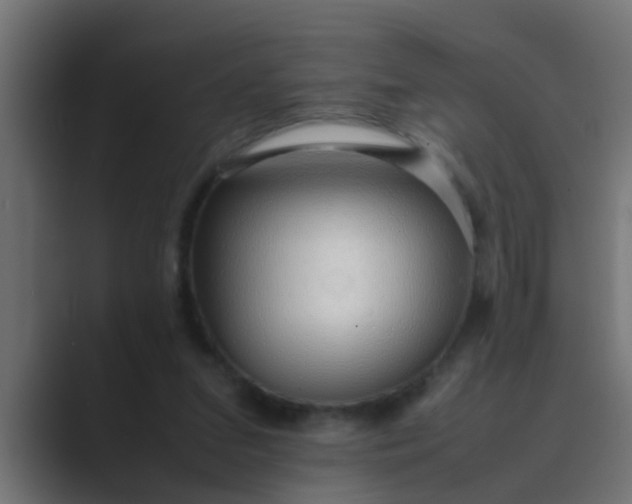X0000089460207200706291507