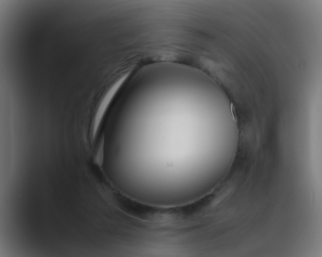 X0000089460209200706291507