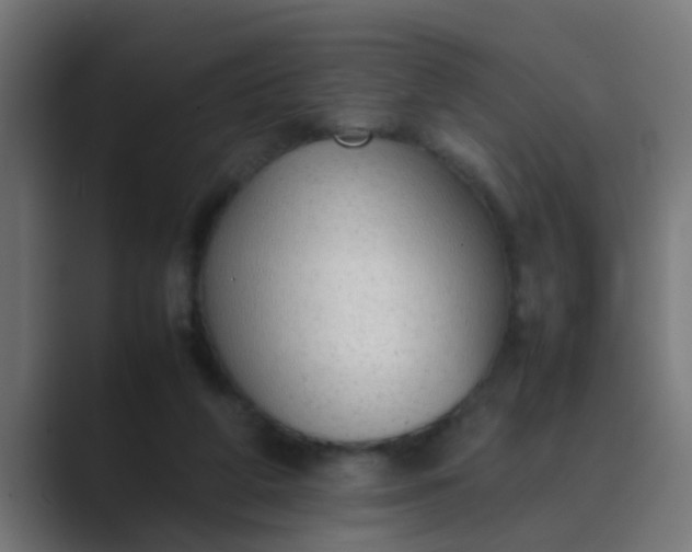X0000089460210200706291507