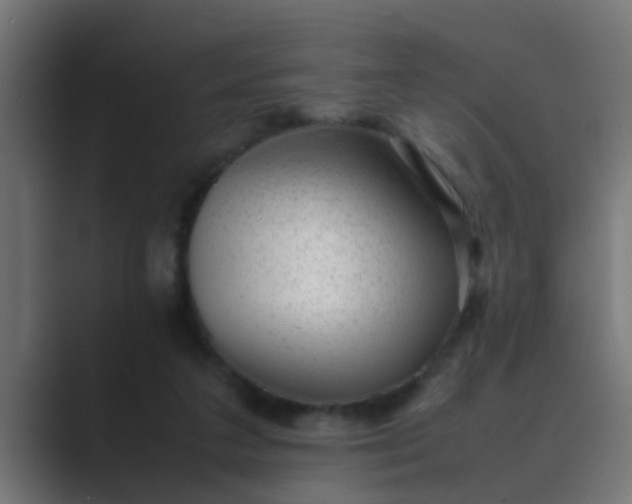 X0000089460211200706291507