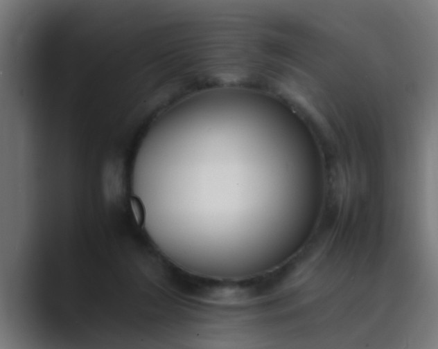 X0000089460212200706291507