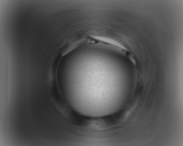 X0000089460215200706291507