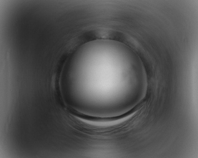 X0000089460217200706291507