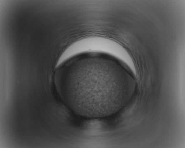 X0000089460219200706291507