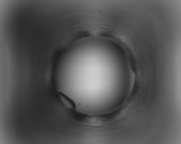 X0000089460221200706291507