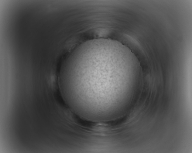 X0000089460222200706291507