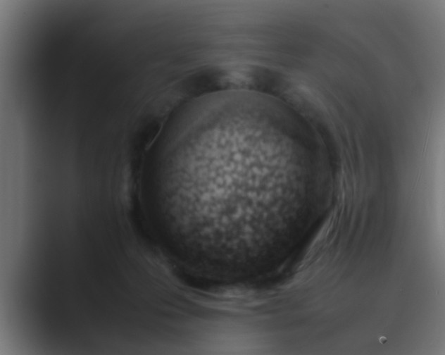 X0000089460223200706291507