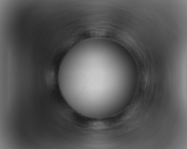 X0000089460224200706291507