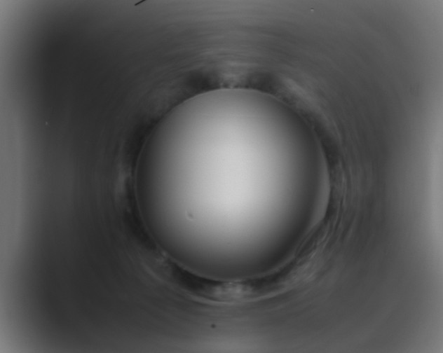 X0000089460225200706291507