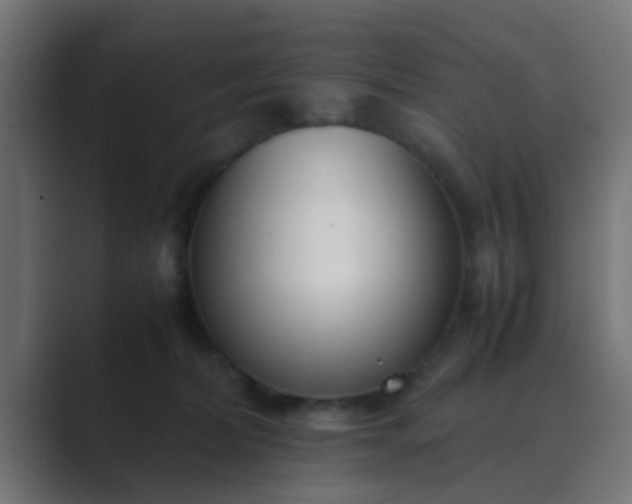 X0000089460228200706291507