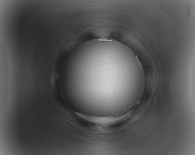 X0000089460229200706291507
