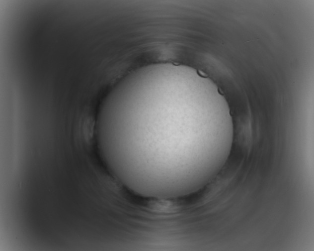 X0000089460230200706291507