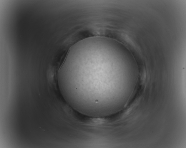 X0000089460233200706291507