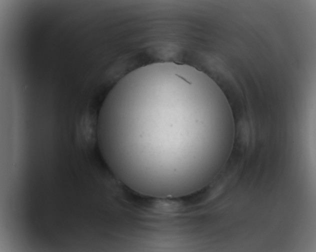 X0000089460234200706291507