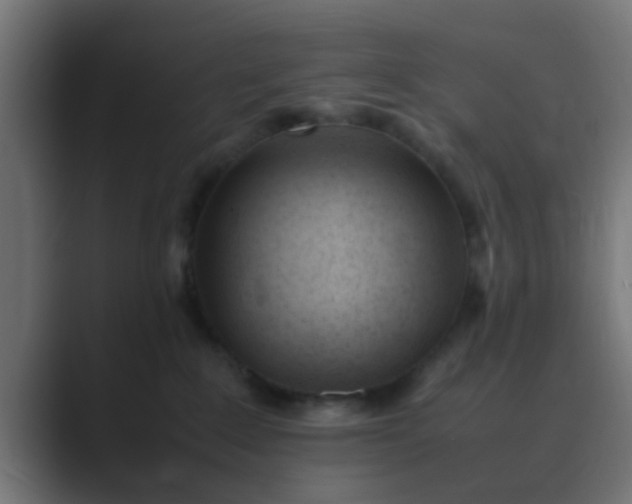X0000089460235200706291507