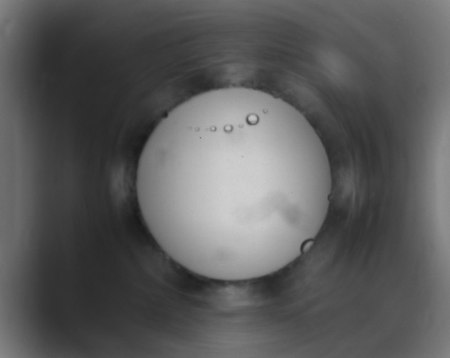 X0000089460236200706291507